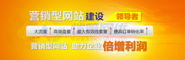 愷策網(wǎng)優(yōu)營銷型建設領導者